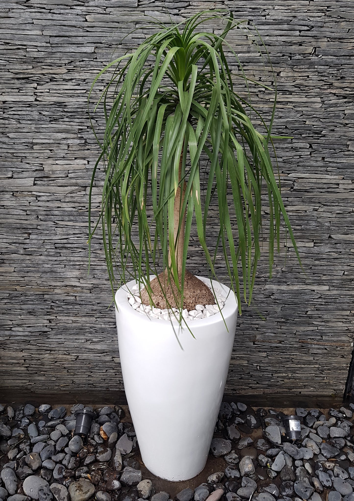 Maceta Decorativa de Fibra de Vidrio Timbal para Interior o Exterior tamaños y colores disponibles