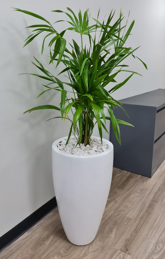 Maceta Decorativa de Fibra de Vidrio Timbal para Interior o Exterior tamaños y colores disponibles