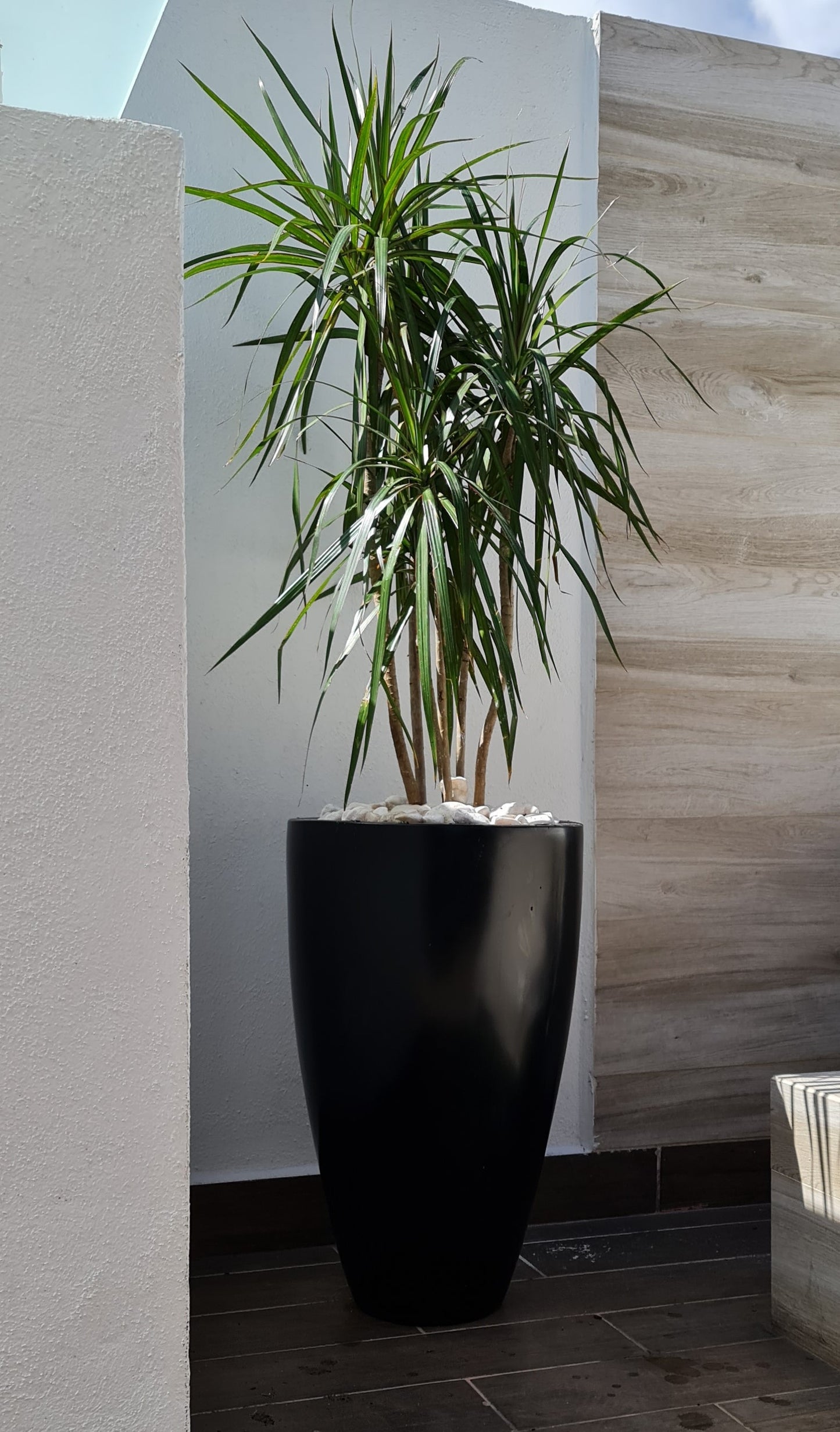 Maceta Decorativa de Fibra de Vidrio Timbal para Interior o Exterior tamaños y colores disponibles