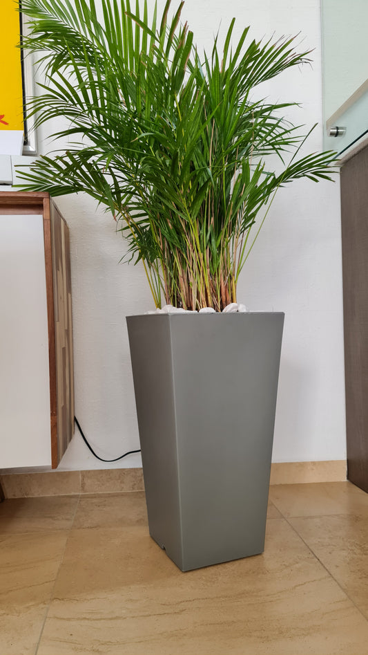 Maceta Obelisco Mediana 60 CM alto Reciclable Resistente y en Varios colores