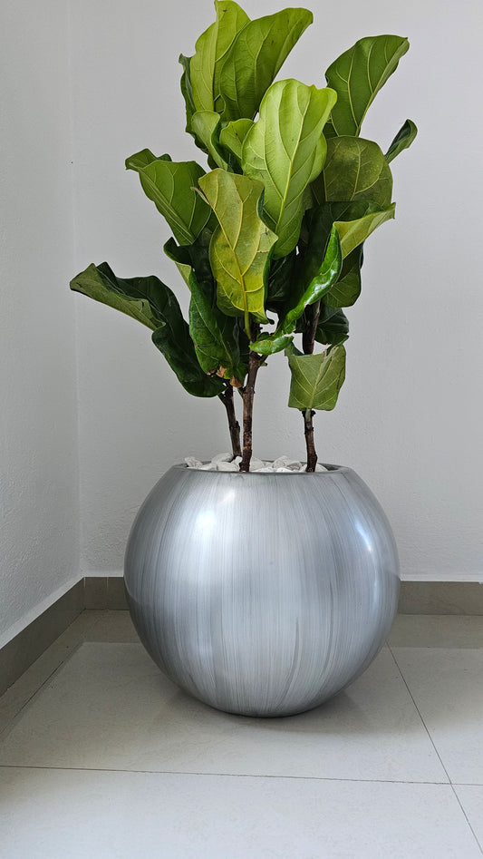 Maceta Burbuja de Fibra de vidrio Macetón Grande tamaños y colores disponibles