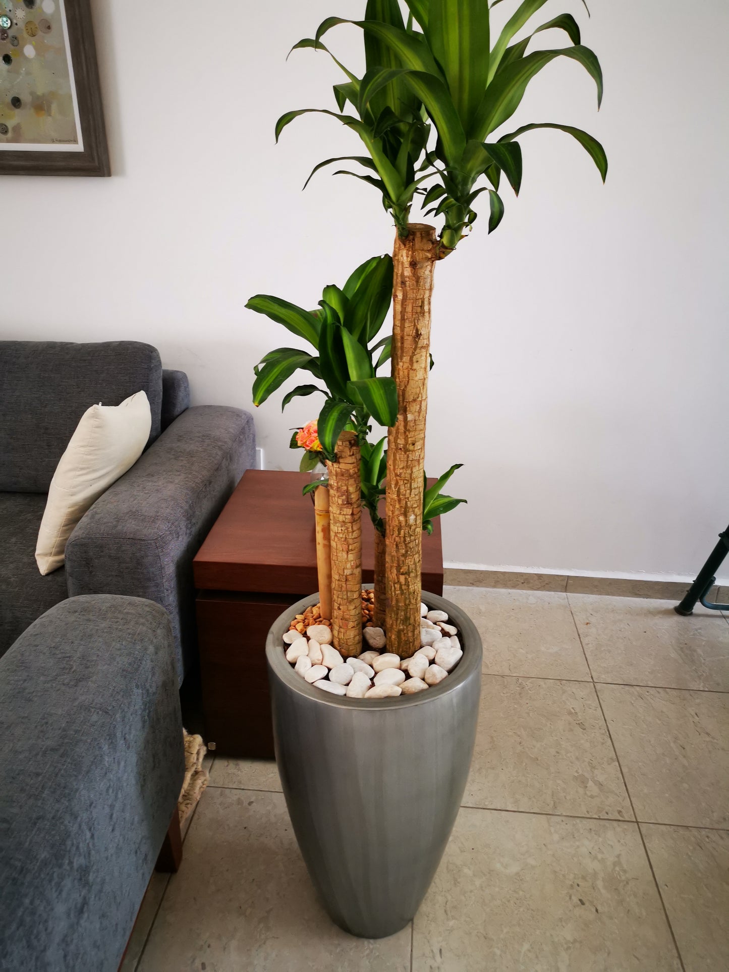 Maceta Decorativa de Fibra de Vidrio Timbal para Interior o Exterior tamaños y colores disponibles