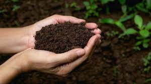 Kit para traslplante de plantas con mezcla de tierra y vitaminas