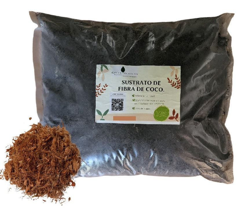 Pack Maceta Minimalista Mediana Con Sustrato Tierra Orgánica Pack listo para trasplantar