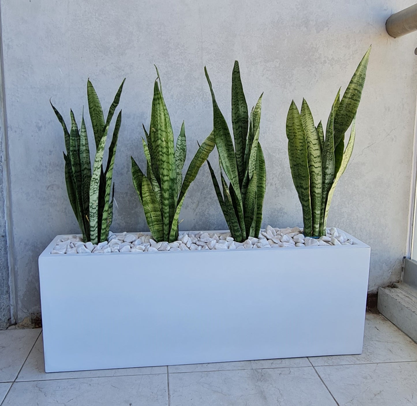 Maceta Jardinera Rectangular de Fibra de Vidrio de 90 CM de largo Resistente Colores