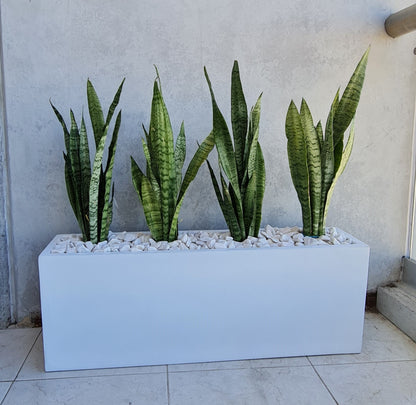 Maceta Jardinera Rectangular de Fibra de Vidrio de 90 CM de largo Resistente Colores