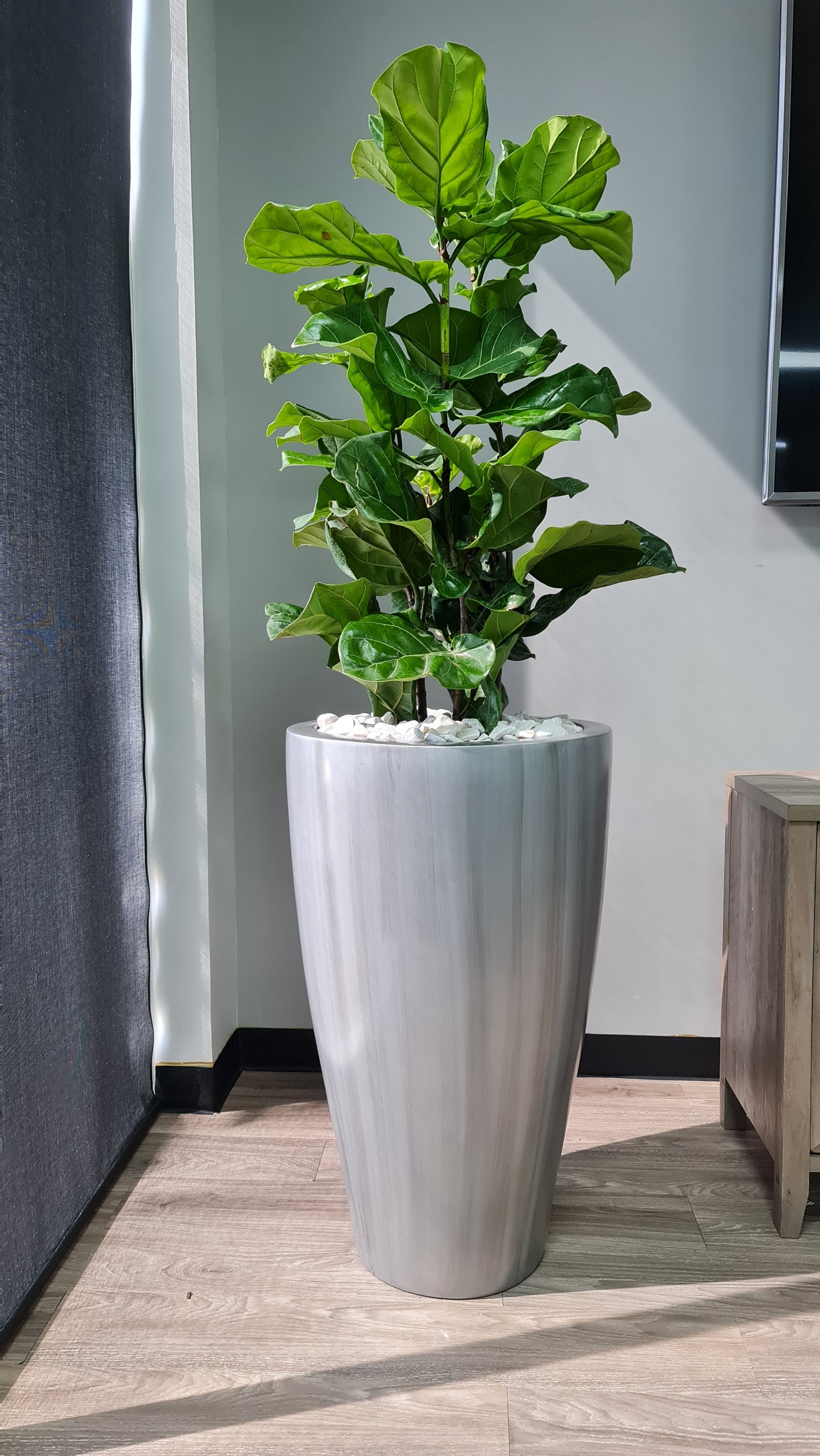 Maceta Decorativa de Fibra de Vidrio Timbal para Interior o Exterior tamaños y colores disponibles