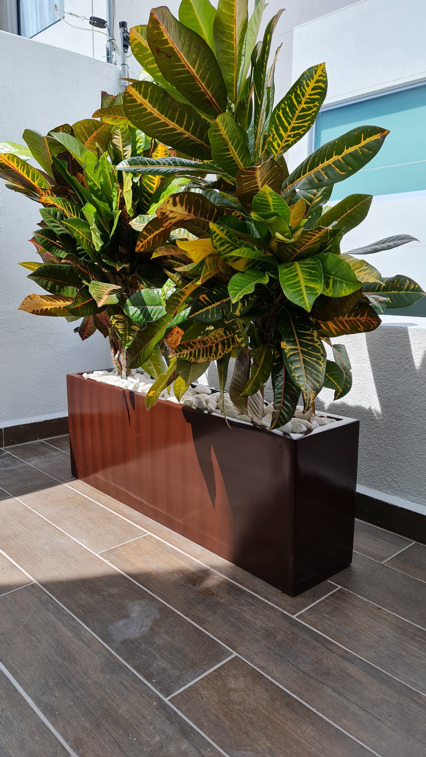 Maceta Jardinera Rectangular de Fibra de Vidrio de 90 CM de largo Resistente Colores