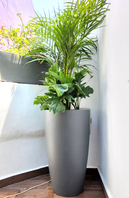 Maceta Grande 70 cm alto Macetón Resistente exterior colores disponibles