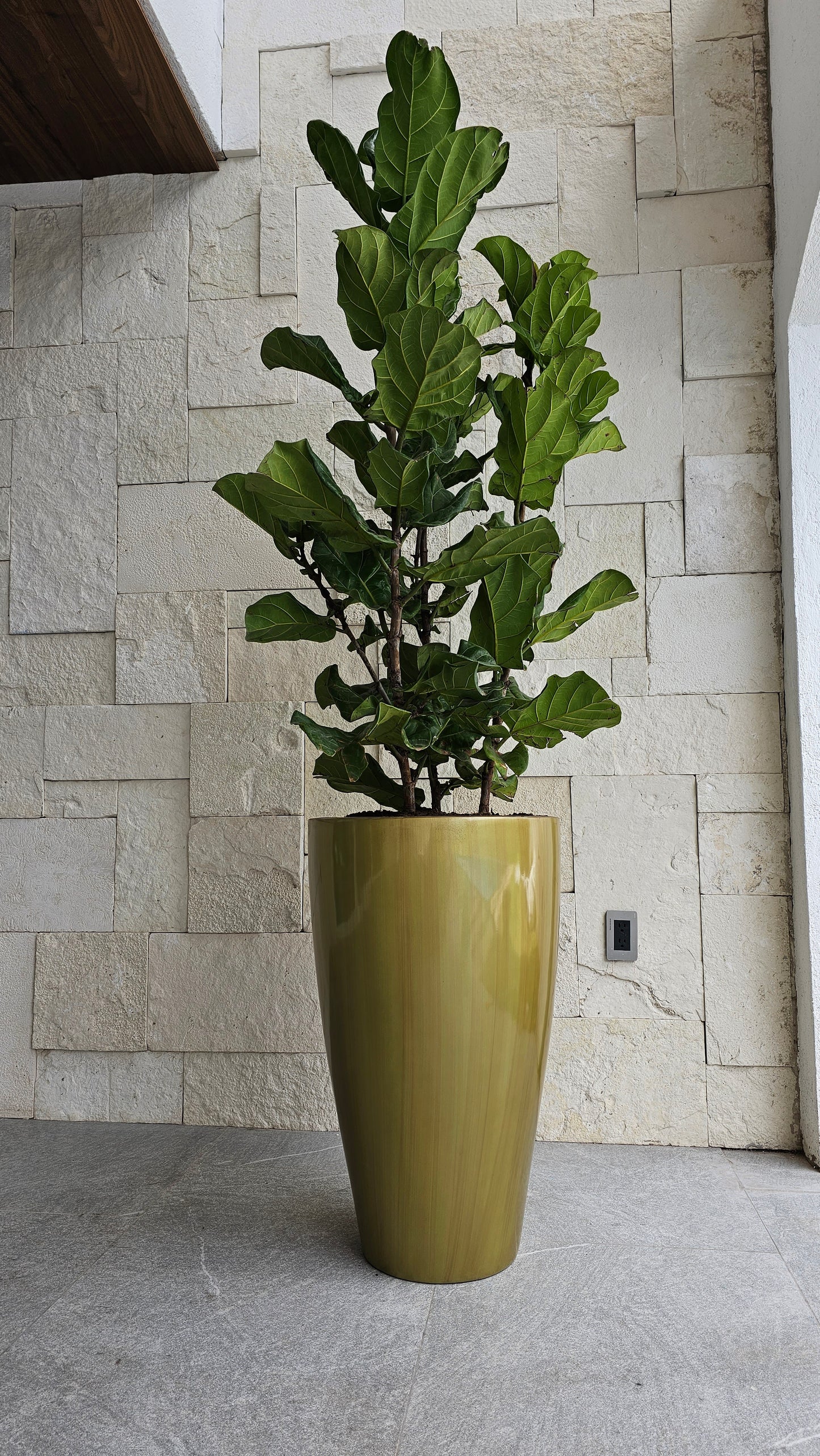 Maceta Decorativa de Fibra de Vidrio Timbal para Interior o Exterior tamaños y colores disponibles