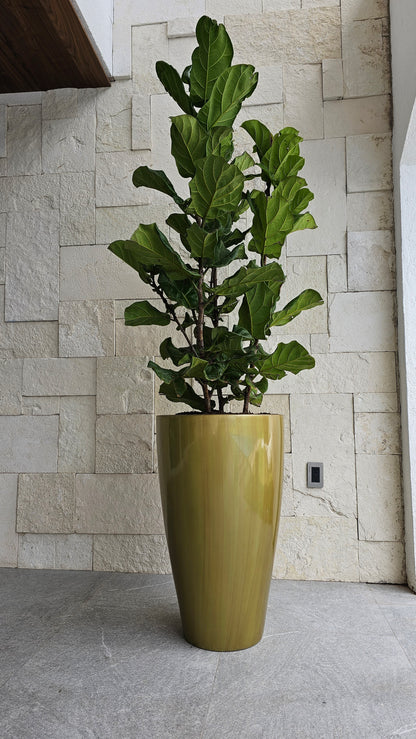 Maceta Decorativa de Fibra de Vidrio Timbal para Interior o Exterior tamaños y colores disponibles