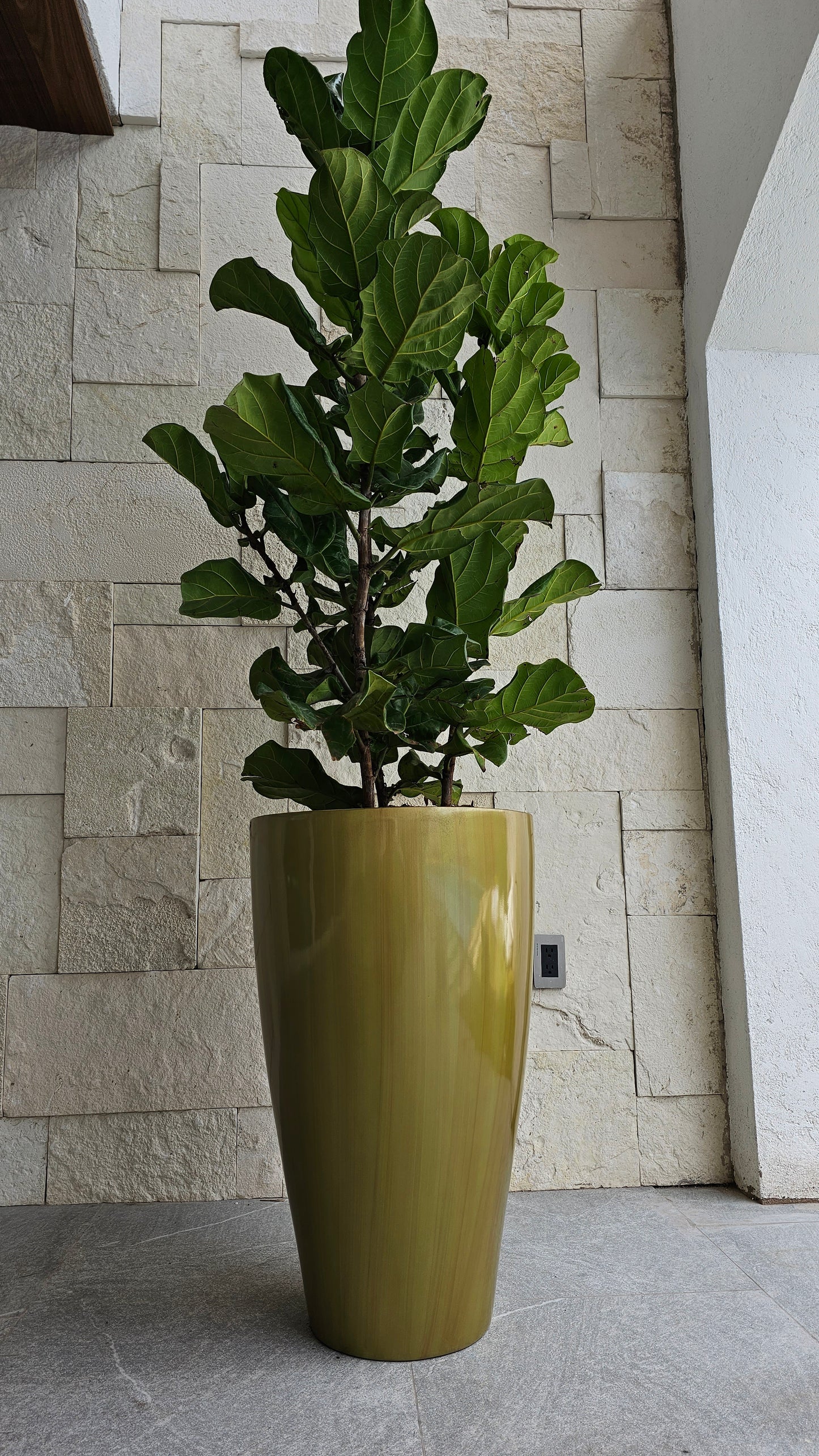 Maceta Decorativa de Fibra de Vidrio Timbal para Interior o Exterior tamaños y colores disponibles