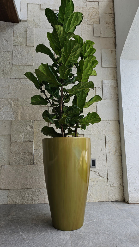 Maceta Decorativa de Fibra de Vidrio Timbal para Interior o Exterior tamaños y colores disponibles