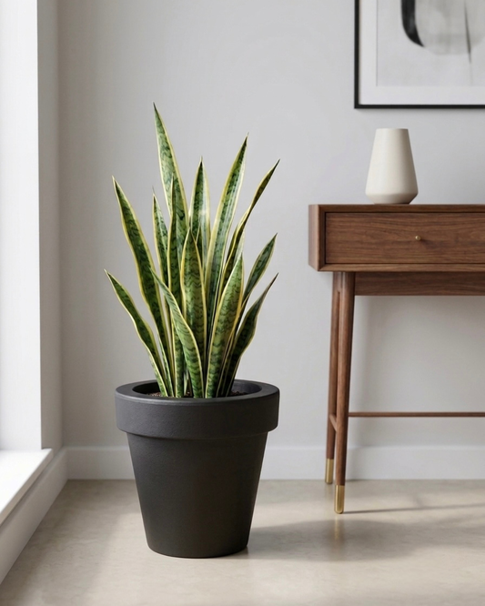 Maceta Redonda Chica 30 cm Resistente Colores Disponibles