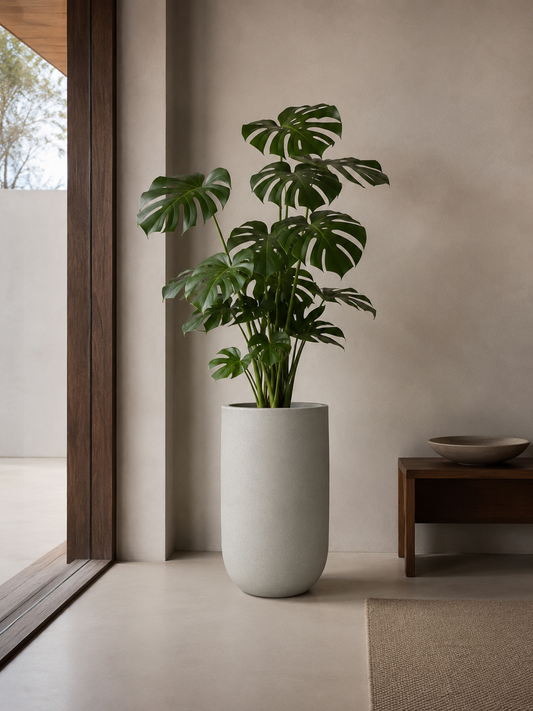 Maceta minimalista redonda alta 60 cm alto resistente interior exterior colores disponibles