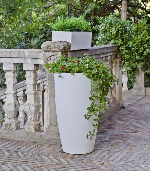 Maceta Grande 70 cm alto Macetón Resistente exterior colores disponibles
