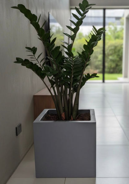 Maceta minimalista cuadrada amplia 40x36 cm resistente colores disponibles.