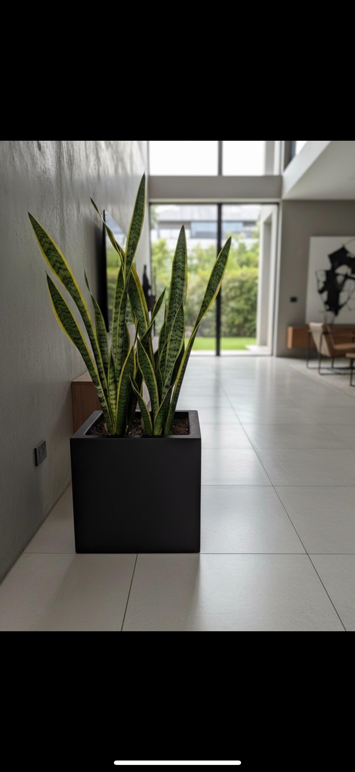 Maceta minimalista cuadrada amplia 40x36 cm resistente colores disponibles.