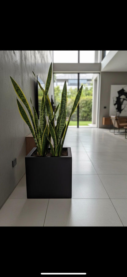 Maceta minimalista cuadrada amplia 40x36 cm resistente colores disponibles.