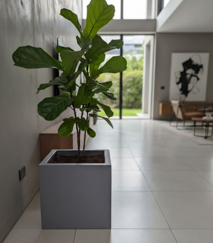 Maceta minimalista cuadrada amplia 40x36 cm resistente colores disponibles.