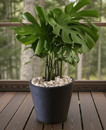 Maceta Chica Texturizada para Exterior o Interior 36 x 28 cm Colores