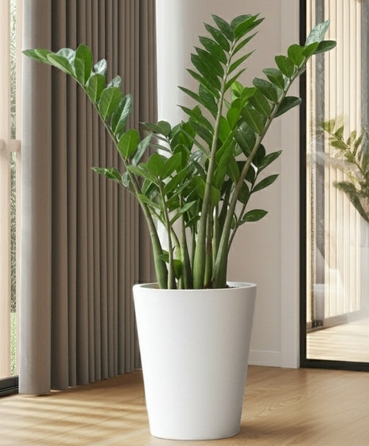 Maceta Minimalista Conica Chica Resistente Colores 33 x 38 cm