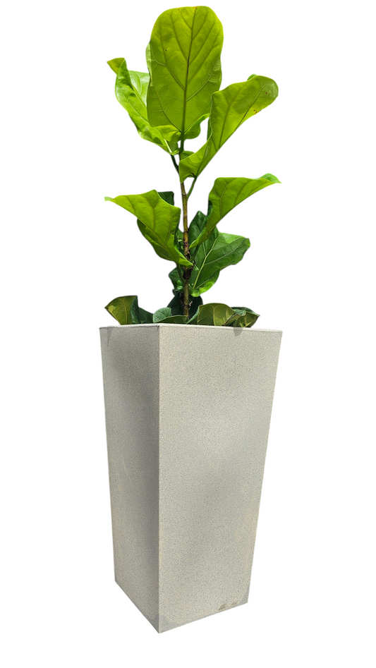 Maceta Obelisco Mediana 60 CM alto Reciclable Resistente y en Varios colores