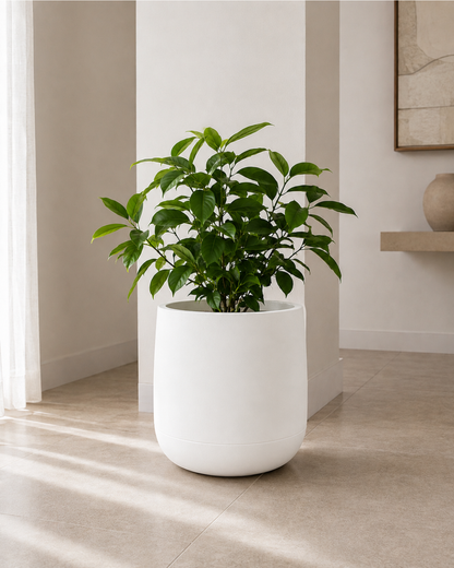 Maceta amplia 40 cm resistente interior exterior diseño moderno