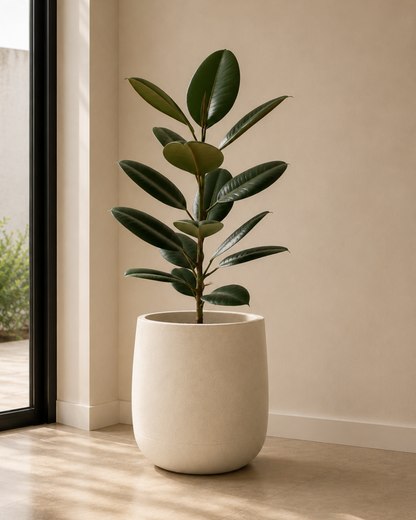 Maceta amplia 40 cm resistente interior exterior diseño moderno