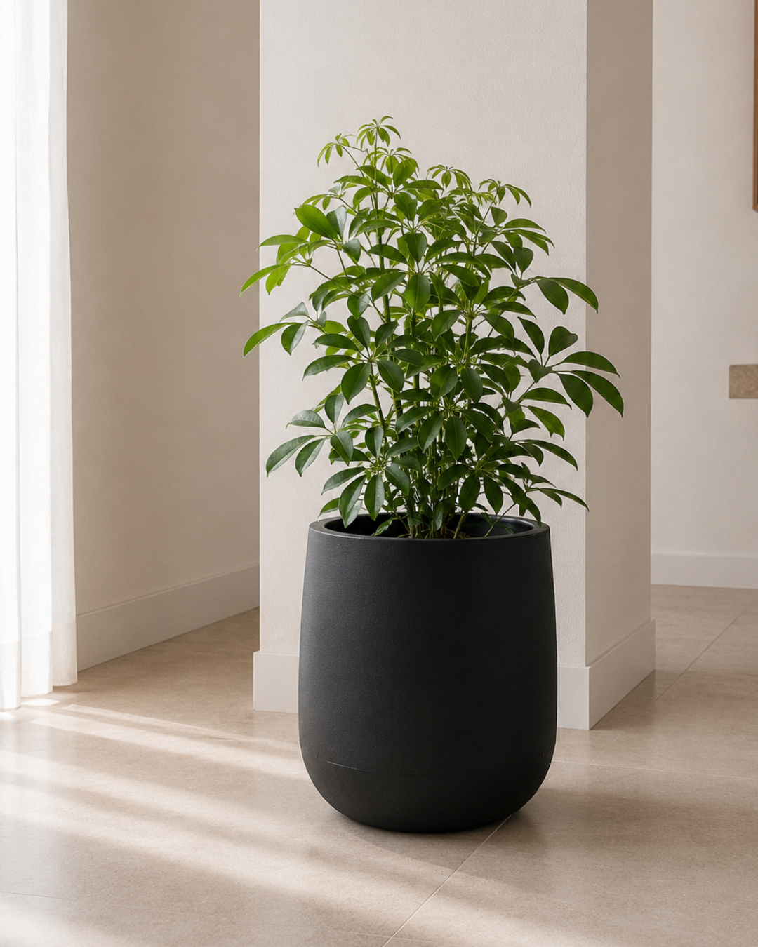 Maceta amplia 40 cm resistente interior exterior diseño moderno