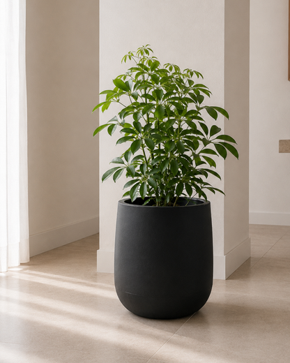 Maceta amplia 40 cm resistente interior exterior diseño moderno