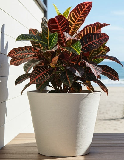 Maceta Chica Texturizada para Exterior o Interior 36 x 28 cm Colores