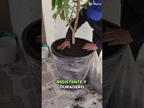Maceta extragrande para arboles Macetero amplio resistente colores disponibles