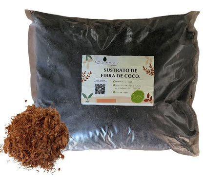 Pack Maceta Minimalista Mediana Con Sustrato Tierra Orgánica Pack listo para trasplantar